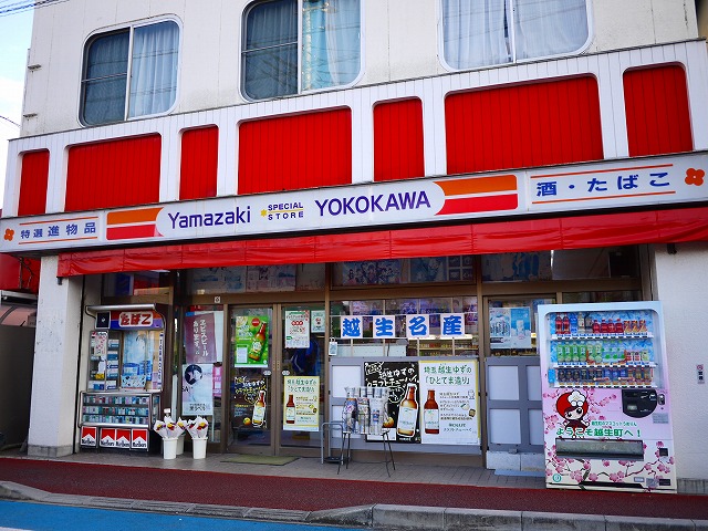 f:id:congiro:20201108210626j:plain