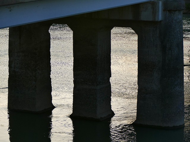 f:id:congiro:20201110233341j:plain