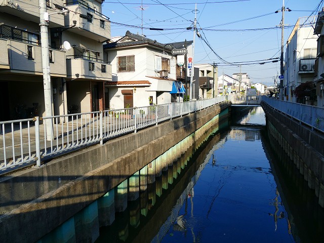 f:id:congiro:20201110234309j:plain f:id:congiro:20201110234309j:plain