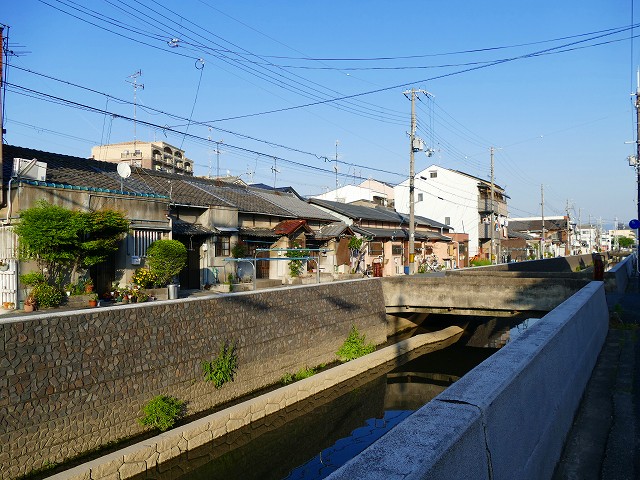 f:id:congiro:20201110234313j:plain f:id:congiro:20201110234313j:plain