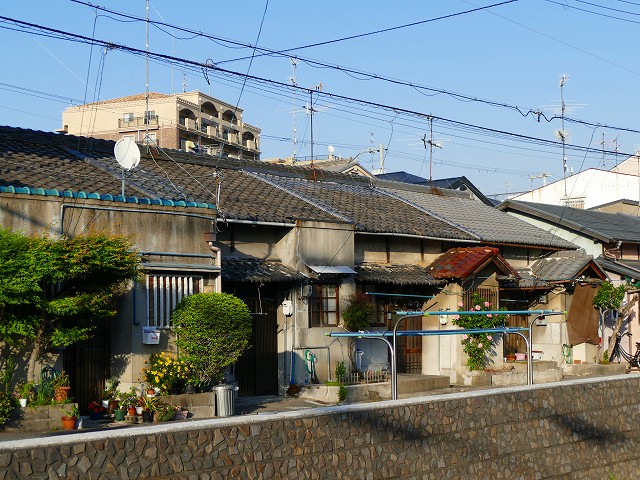 f:id:congiro:20201110234317j:plain f:id:congiro:20201110234317j:plain