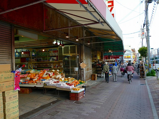 f:id:congiro:20201110234531j:plain f:id:congiro:20201110234531j:plain