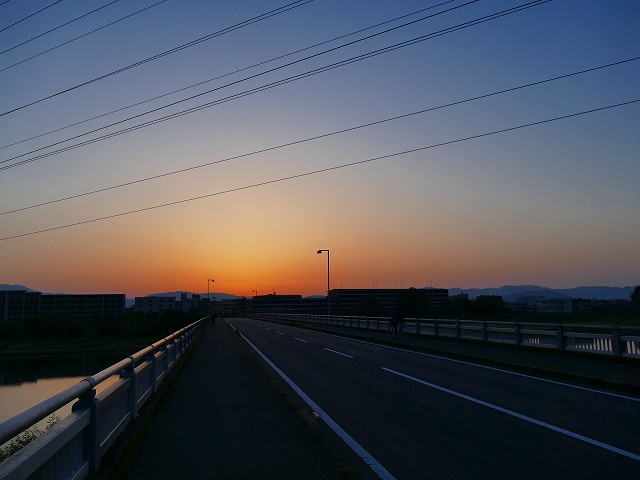 f:id:congiro:20201110234635j:plain f:id:congiro:20201110234635j:plain