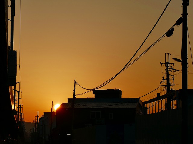 f:id:congiro:20201110234656j:plain f:id:congiro:20201110234656j:plain