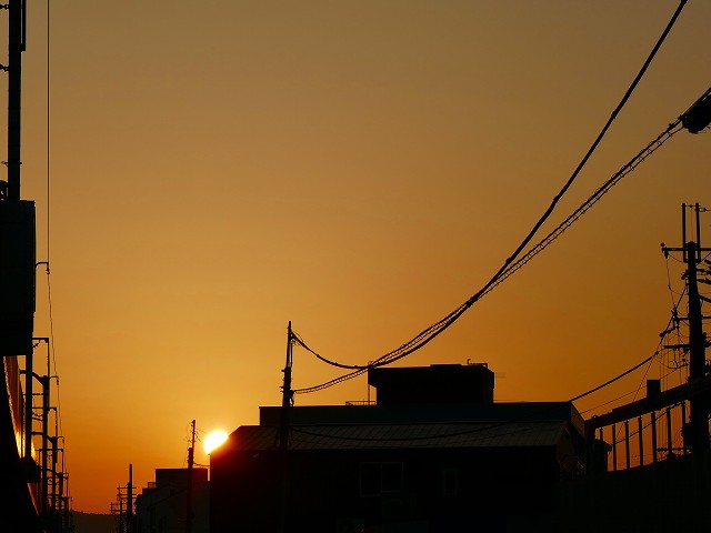 f:id:congiro:20201110234700j:plain f:id:congiro:20201110234700j:plain