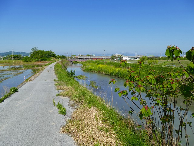 f:id:congiro:20201110234851j:plain f:id:congiro:20201110234851j:plain