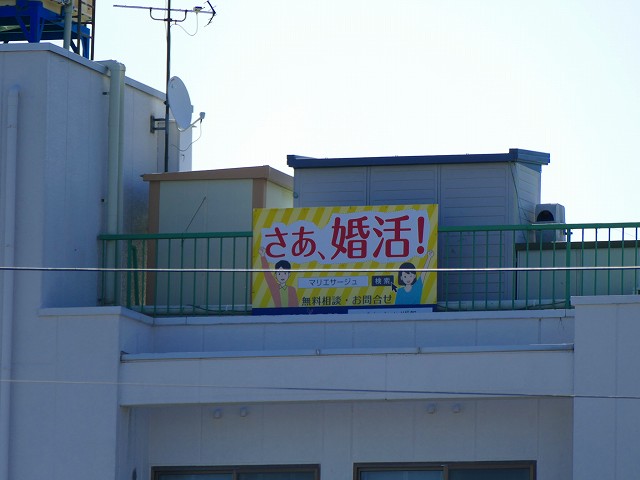 f:id:congiro:20201110234913j:plain f:id:congiro:20201110234913j:plain