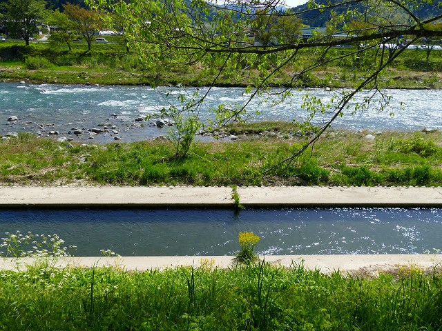 f:id:congiro:20201110235321j:plain