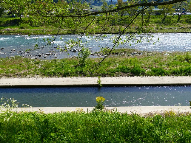 f:id:congiro:20201110235325j:plain