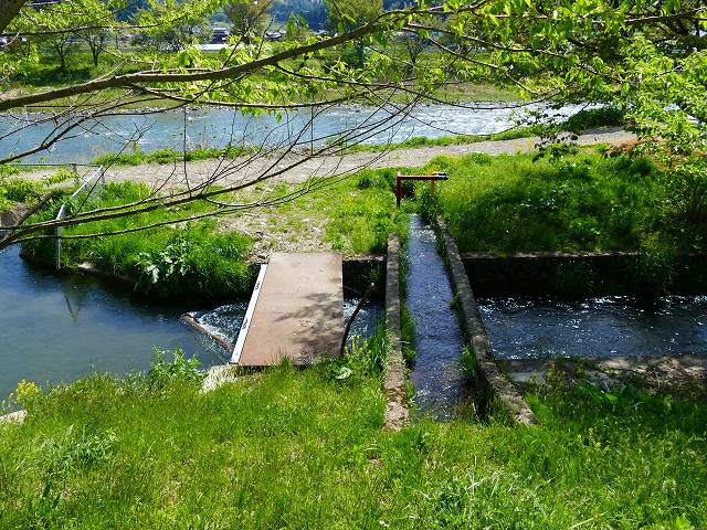 f:id:congiro:20201110235334j:plain