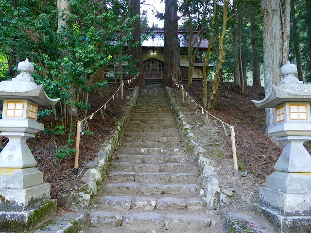 f:id:congiro:20201111000208j:plain