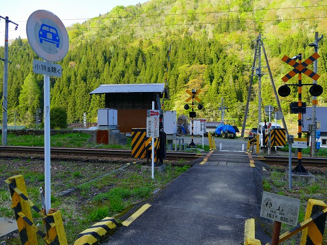 f:id:congiro:20201111000228j:plain