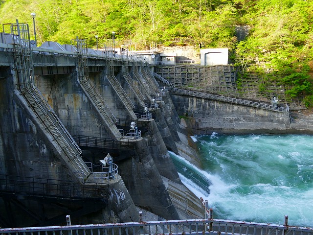 f:id:congiro:20201111000324j:plain