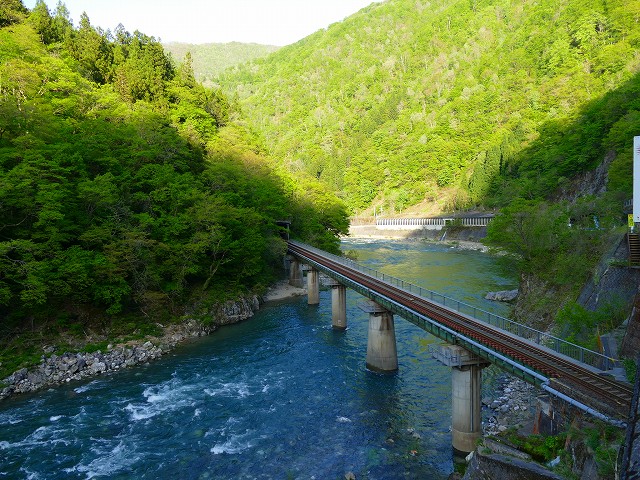 f:id:congiro:20201111000334j:plain