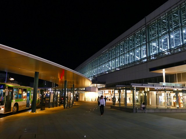 f:id:congiro:20201111000733j:plain