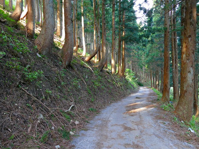 f:id:congiro:20201111001130j:plain
