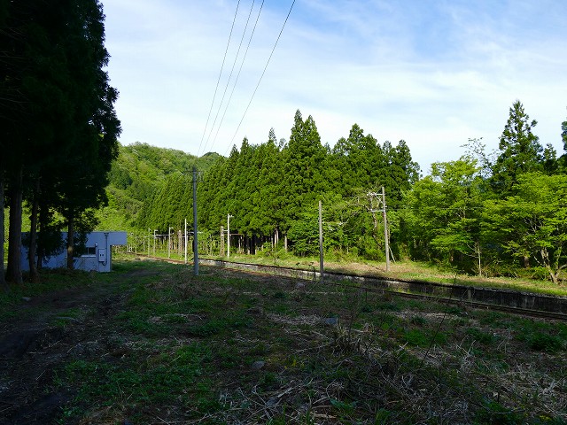 f:id:congiro:20201111001136j:plain