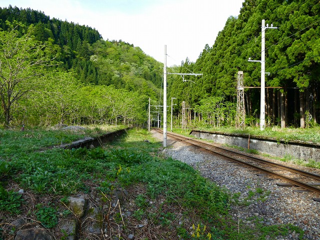 f:id:congiro:20201111001144j:plain