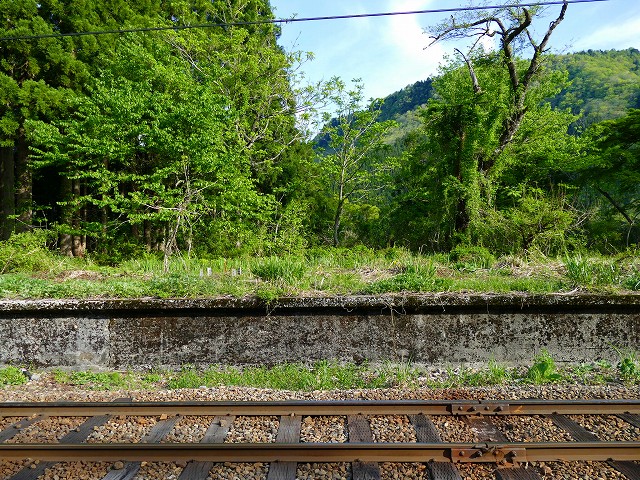 f:id:congiro:20201111001148j:plain