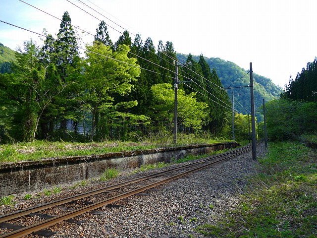f:id:congiro:20201111001152j:plain