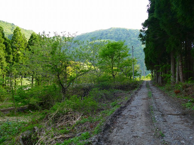 f:id:congiro:20201111001156j:plain