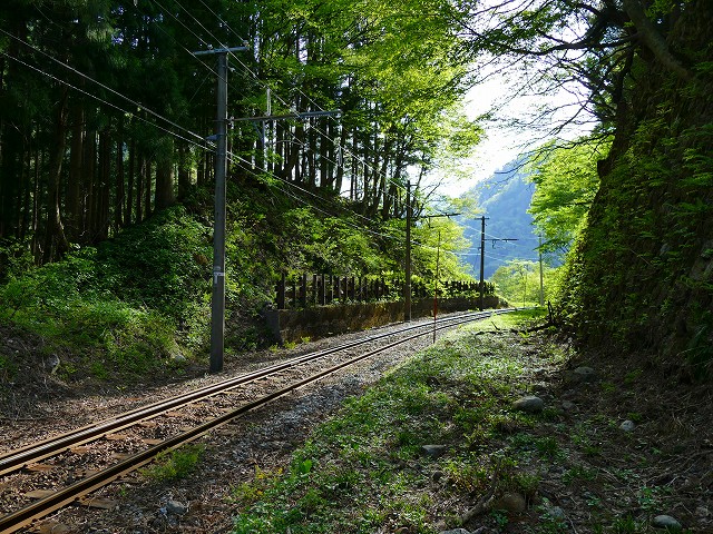 f:id:congiro:20201111001224j:plain