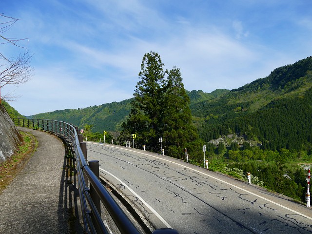 f:id:congiro:20201111001228j:plain
