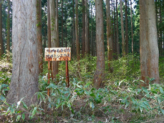 f:id:congiro:20201111001232j:plain