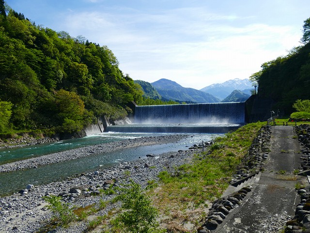 f:id:congiro:20201111001317j:plain