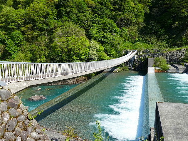 f:id:congiro:20201111001347j:plain
