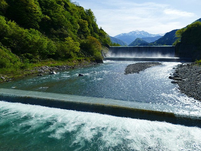 f:id:congiro:20201111001357j:plain