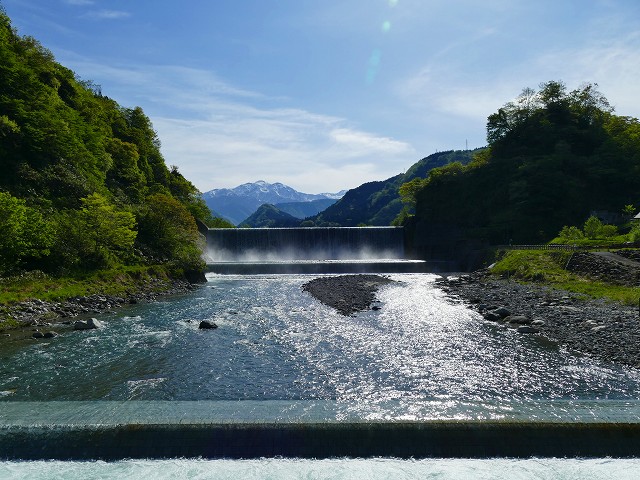 f:id:congiro:20201111001411j:plain