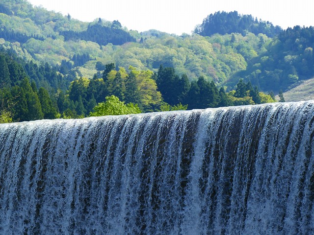 f:id:congiro:20201111001452j:plain