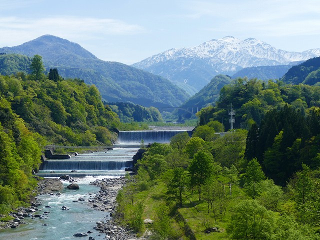 f:id:congiro:20201111001746j:plain