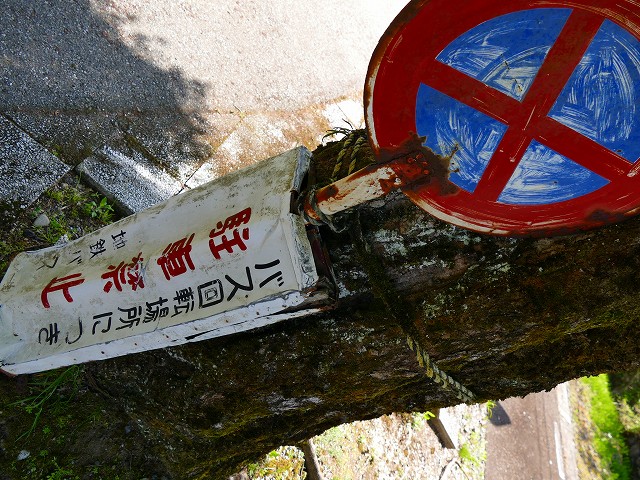 f:id:congiro:20201111001945j:plain