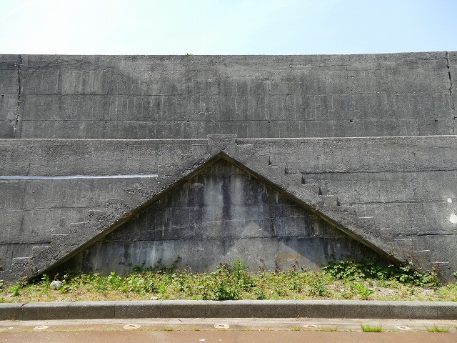 f:id:congiro:20201111004210j:plain