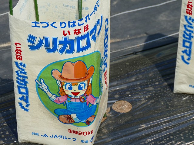 f:id:congiro:20201111004449j:plain