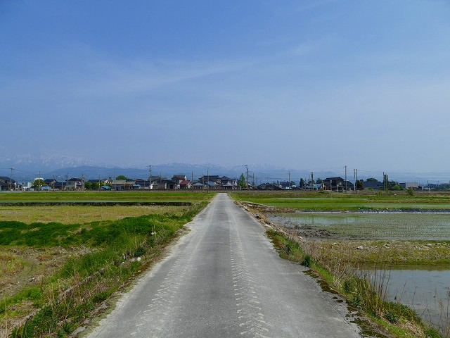 f:id:congiro:20201111004618j:plain