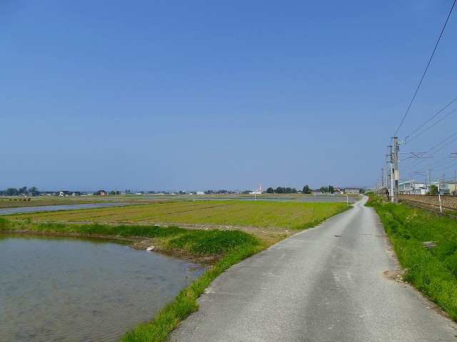 f:id:congiro:20201111004720j:plain