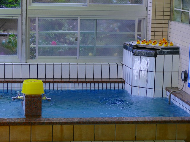 f:id:congiro:20201111005314j:plain