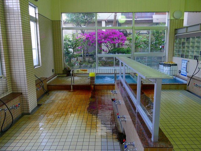 f:id:congiro:20201111005318j:plain