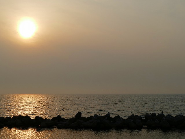 f:id:congiro:20201111005400j:plain