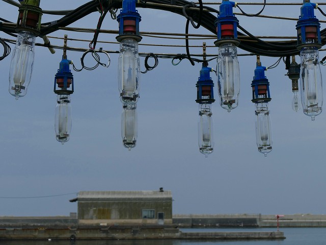 f:id:congiro:20201111005558j:plain