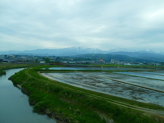 f:id:congiro:20201111005839j:plain