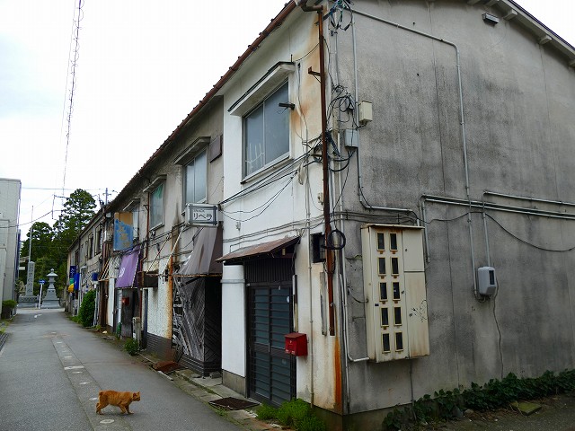 f:id:congiro:20201111005943j:plain