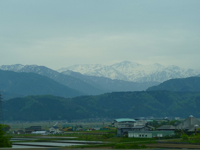 f:id:congiro:20201111010144j:plain