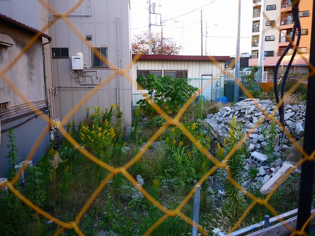 f:id:congiro:20201116000239j:plain