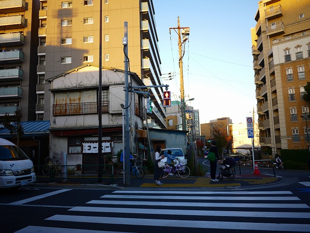 f:id:congiro:20201116000337j:plain