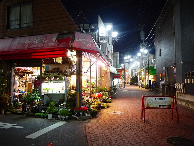 f:id:congiro:20201116000524j:plain