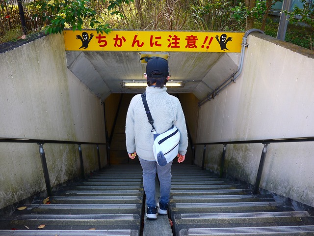 f:id:congiro:20201116001226j:plain
